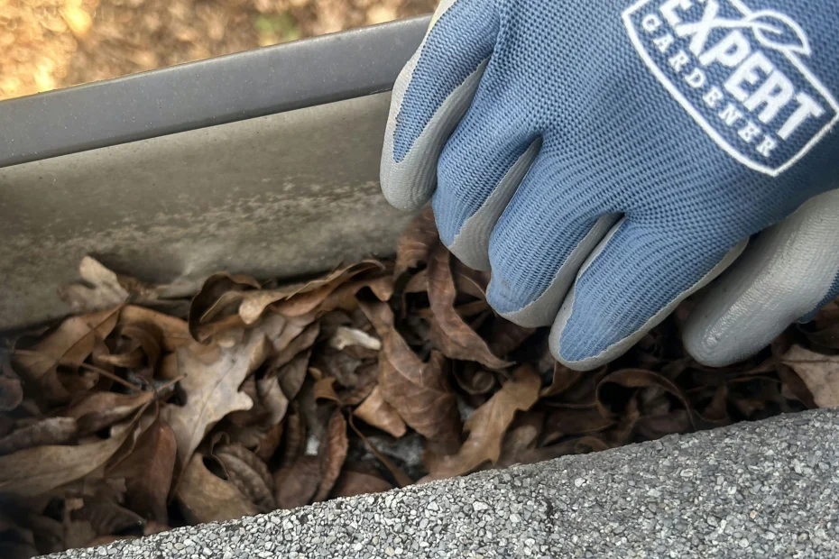 Gutter Cleaning Arnaudville